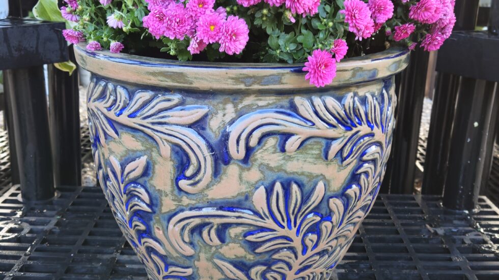 12" Multicolor Garden Mum