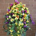 12" Premium Basket