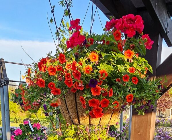 14" Cottage Basket