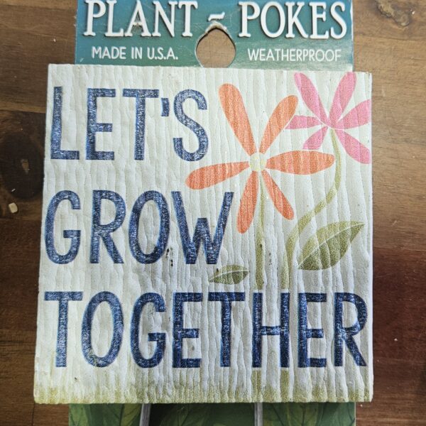 77809 Plant Poke