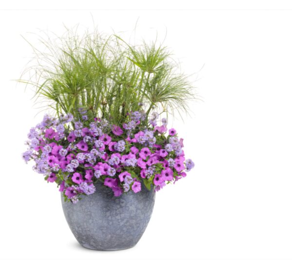 15" Patio Planter