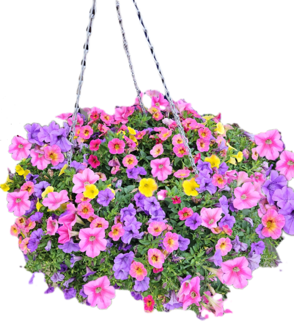 16" Birds Nest Basket