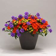 12" Patio Planter