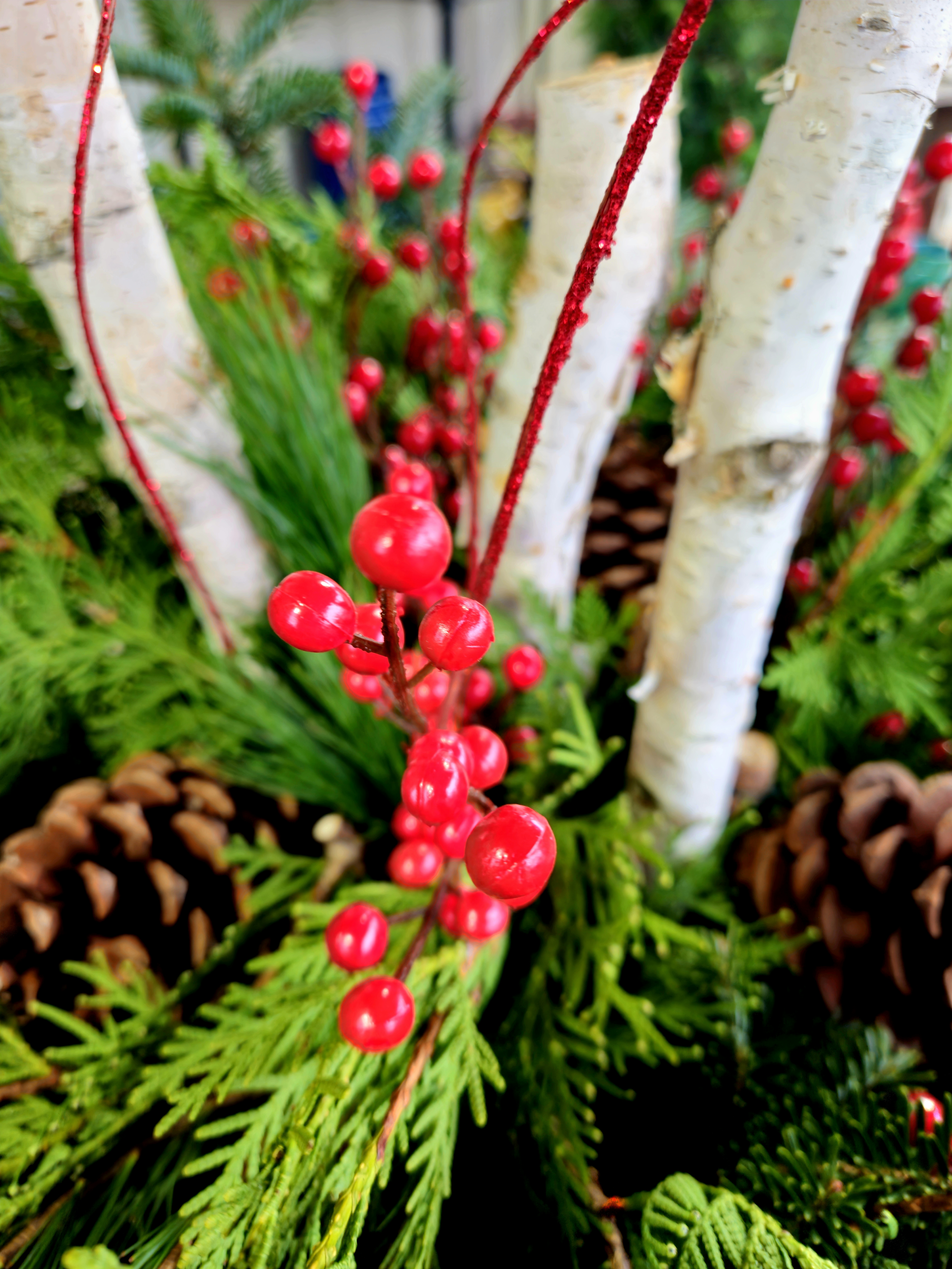 The Holland Farmers Market 
