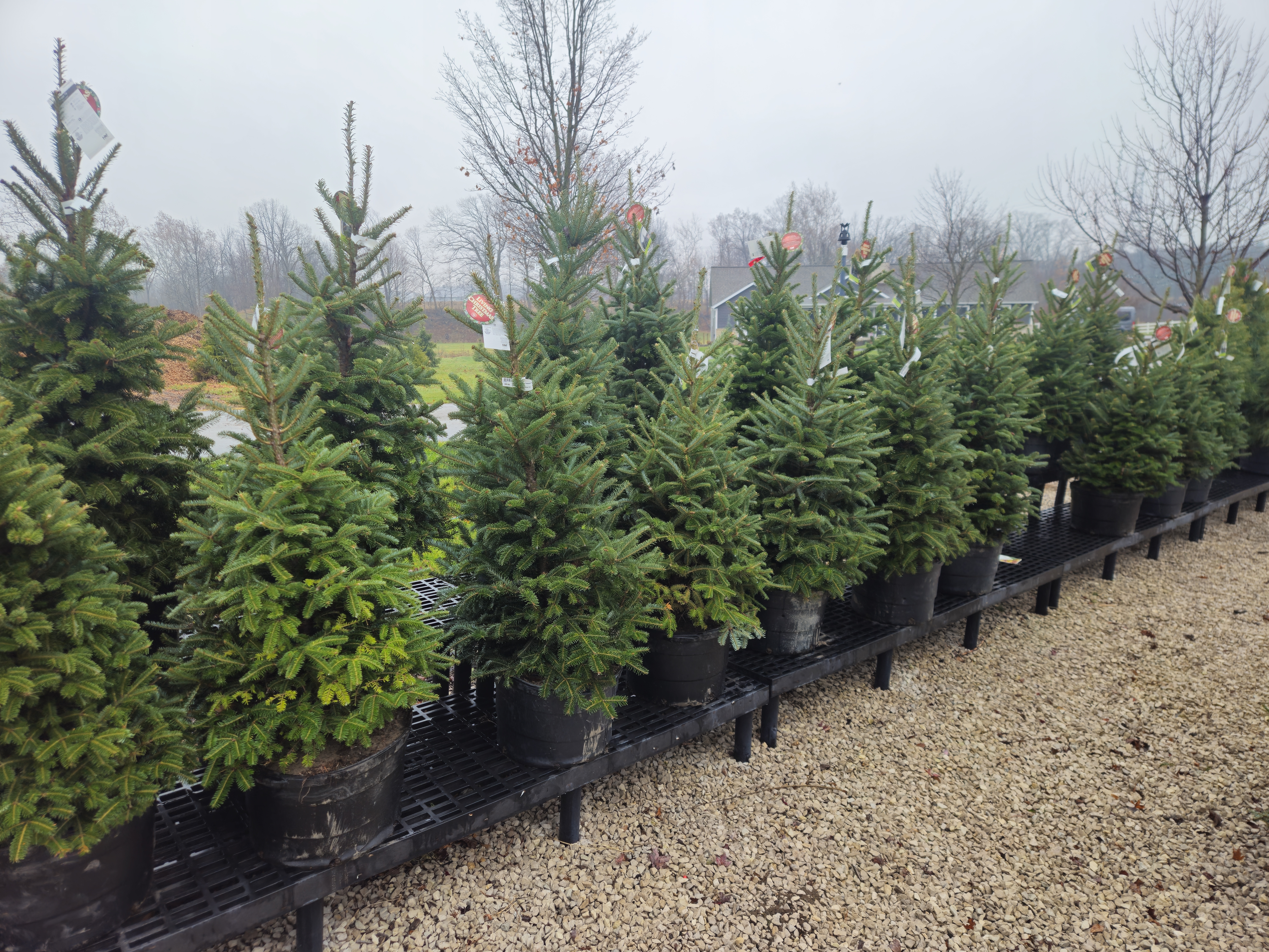 Gardening Supplies in Zeeland, MI